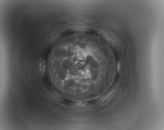 X0000114671251200910211143