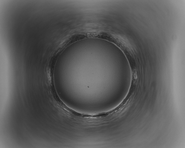 X0000114671252200910211143