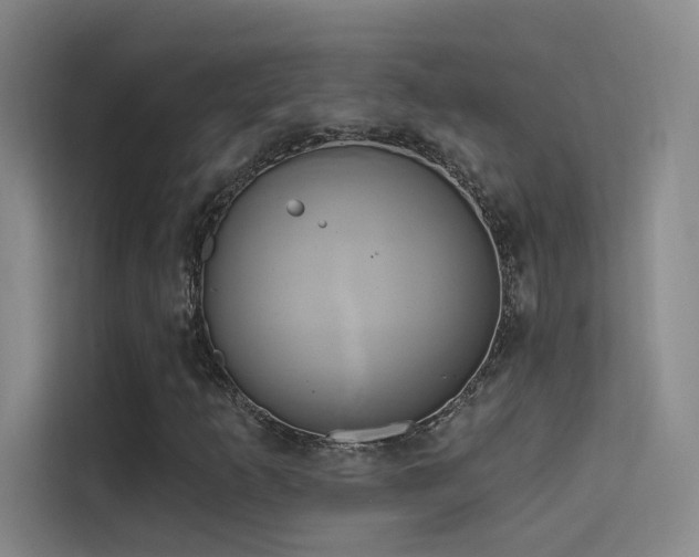 X0000114671253200910211143
