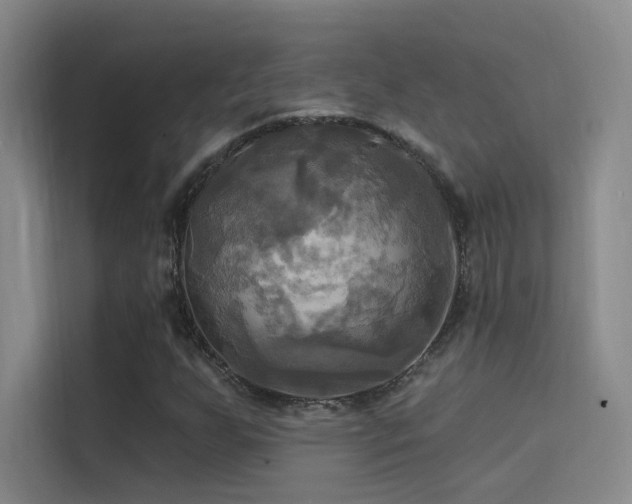 X0000114671255200910211143