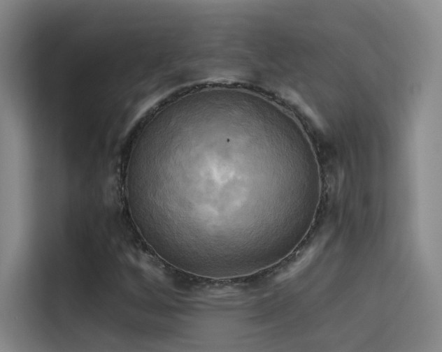 X0000114671256200910211143