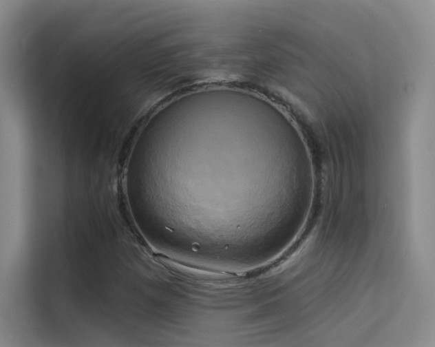 X0000114671257200910211143