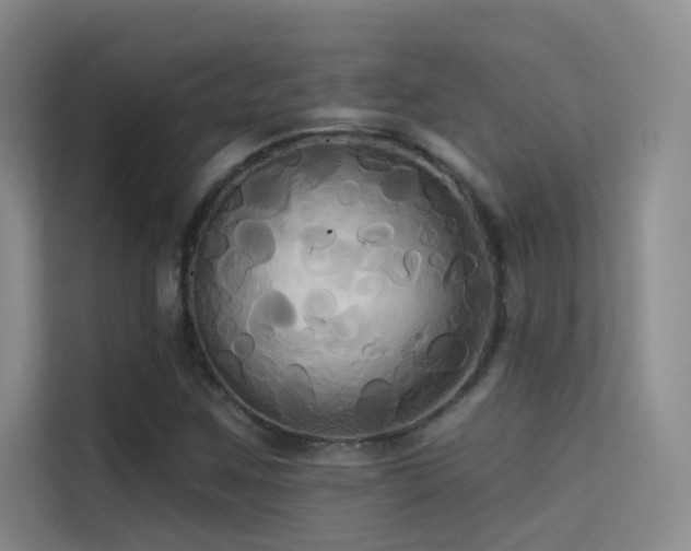 X0000114671259200910211143