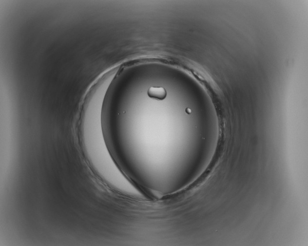 X0000114671260200910211143