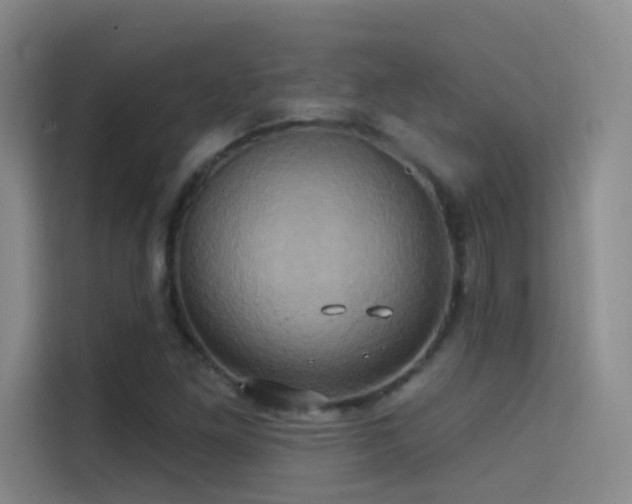 X0000114671261200910211143