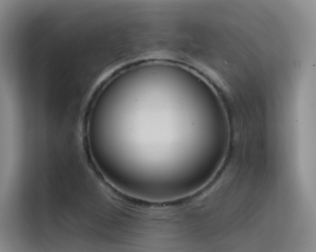 X0000114671264200910211143