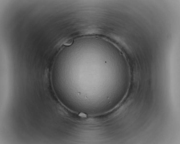 X0000114671265200910211143