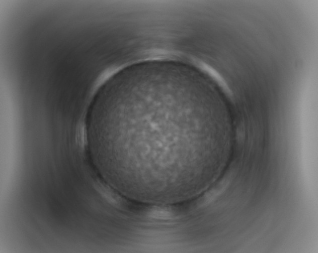 X0000114671267200910211143