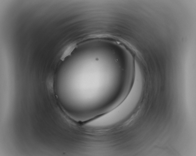 X0000114671273200910211143