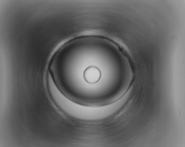 X0000114671277200910211143