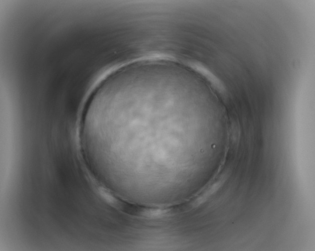 X0000114671278200910211143