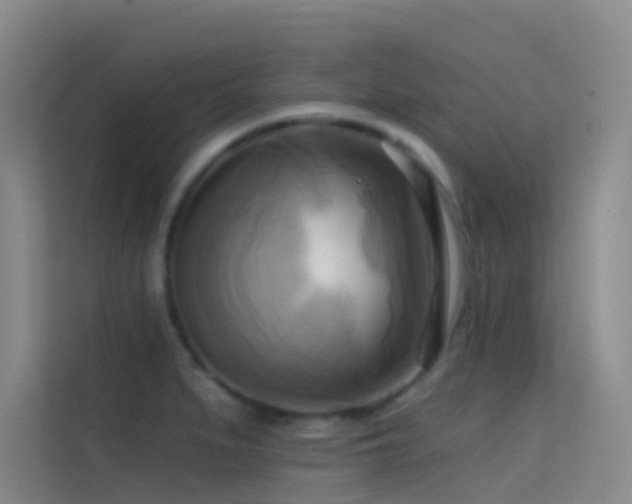 X0000114671279200910211143