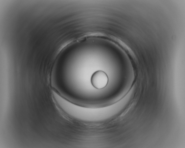 X0000114671281200910211143