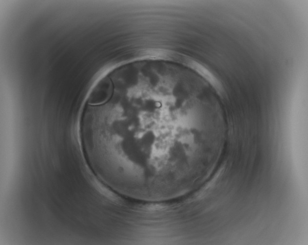 X0000114671283200910211143