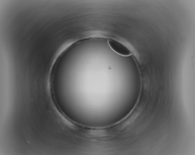 X0000114671285200910211143