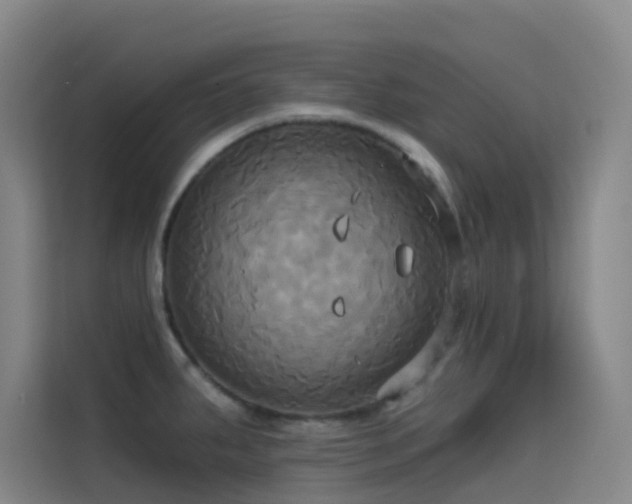 X0000114671287200910211143