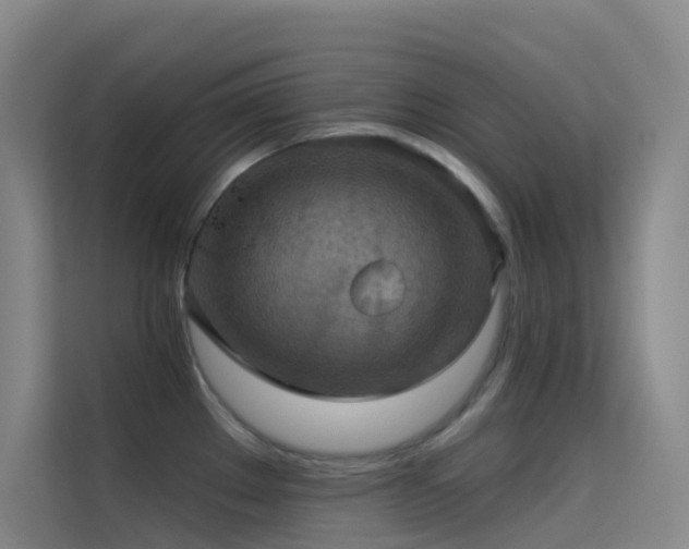 X0000114671289200910211143