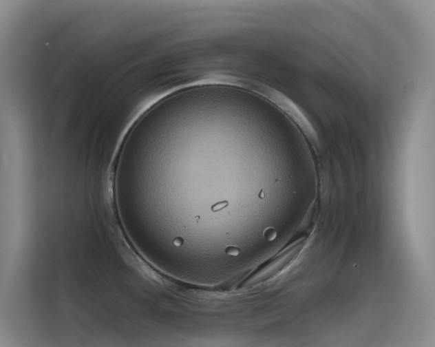 X0000114671292200910211143