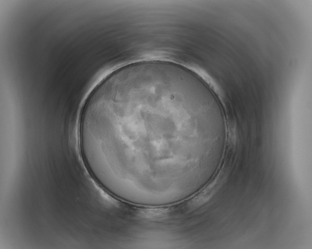 X0000114671294200910211143