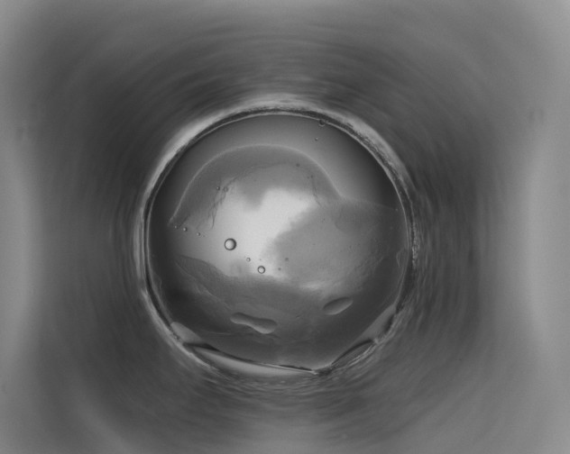 X0000114671295200910211143