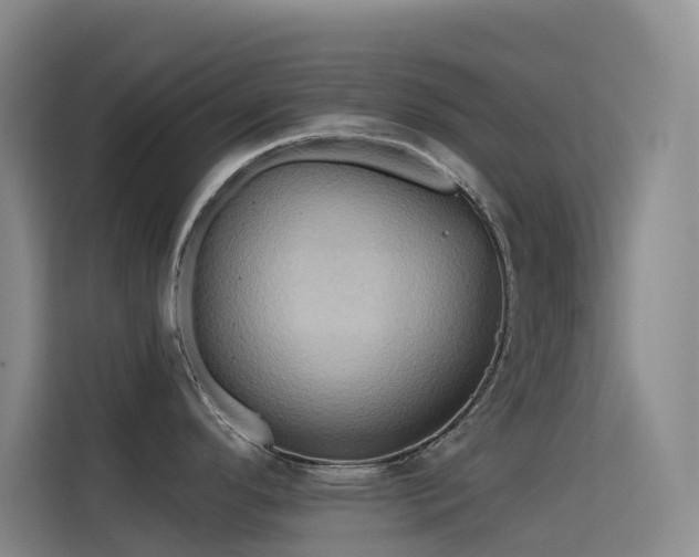 X0000114671296200910211143
