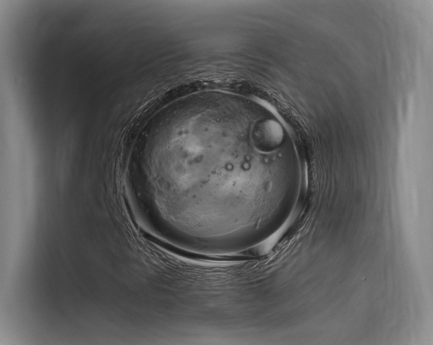 X0000114671297200910211142
