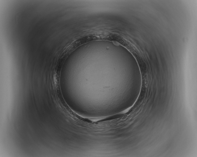 X0000114671298200910211142