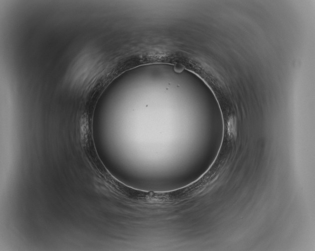 X0000114671299200910211142