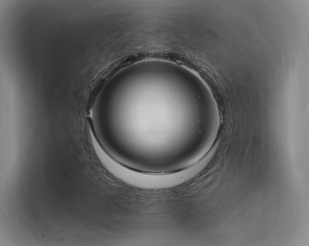 X0000114671301200910211142