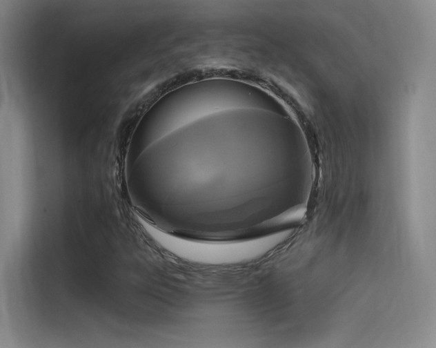 X0000114671303200910211142