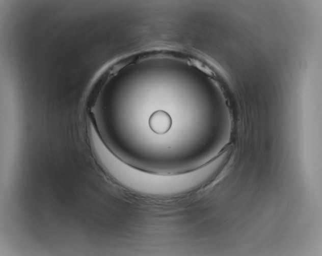 X0000114671310200910211142