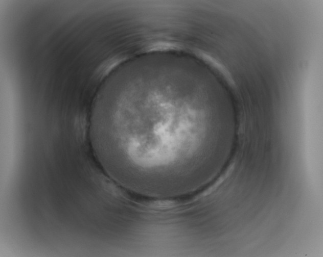 X0000114671313200910211142