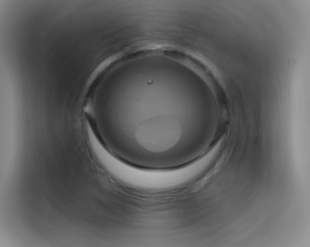 X0000114671314200910211142
