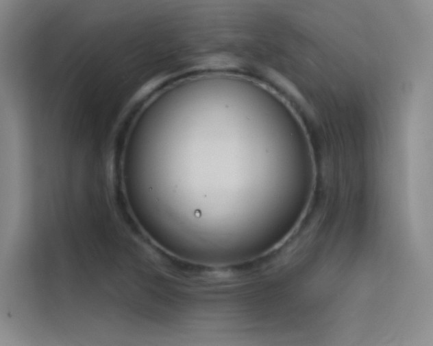 X0000114671315200910211142