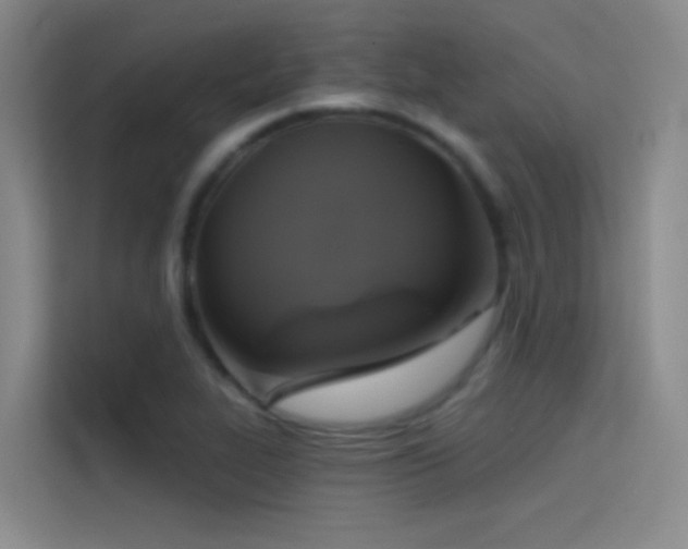 X0000114671319200910211142