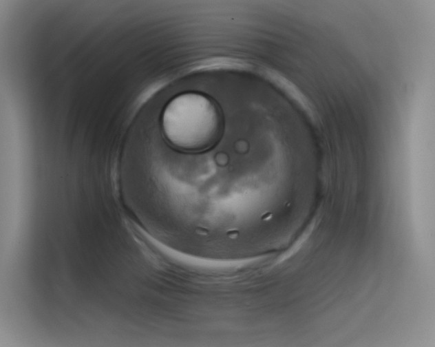 X0000114671321200910211142