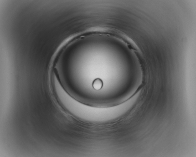 X0000114671323200910211142