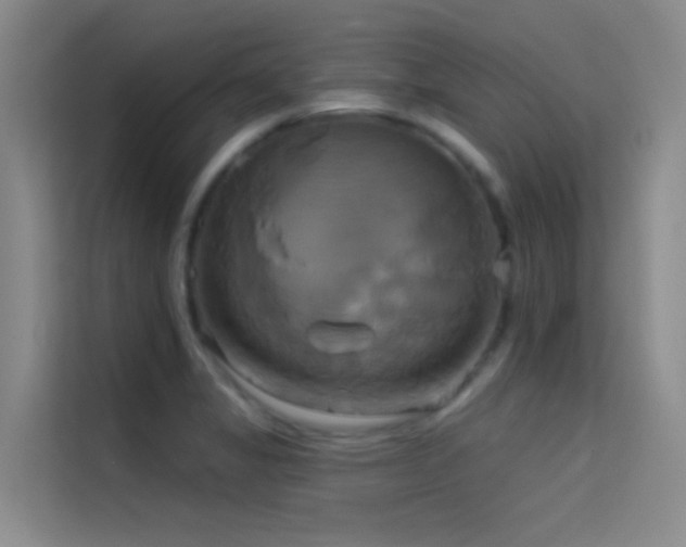 X0000114671325200910211142