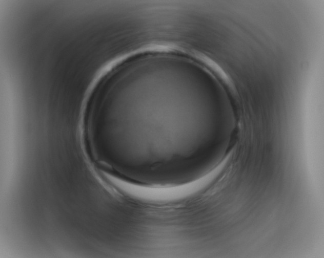 X0000114671327200910211142