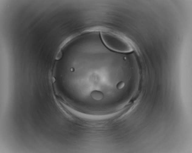X0000114671329200910211142