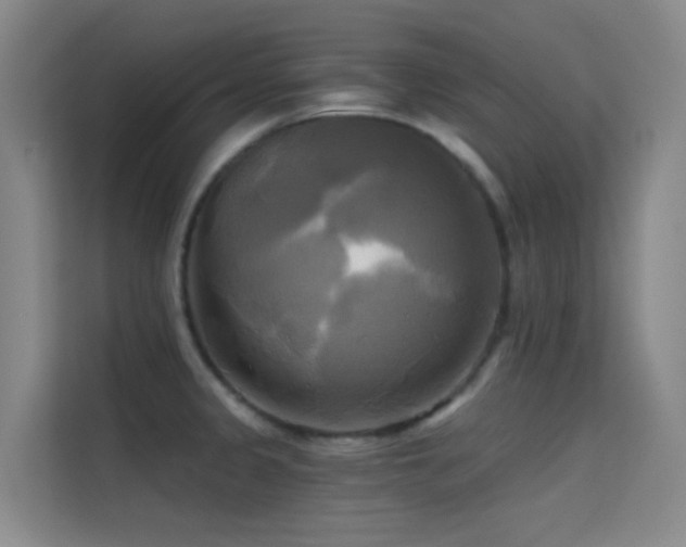 X0000114671333200910211142