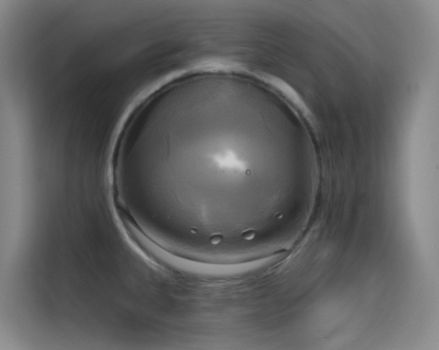 X0000114671335200910211142