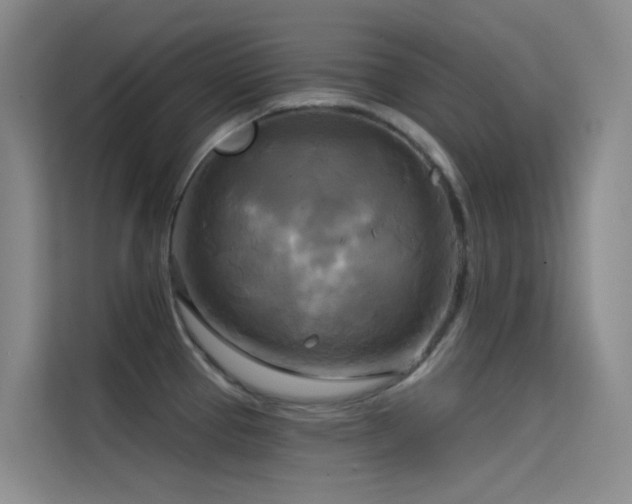 X0000114671337200910211142