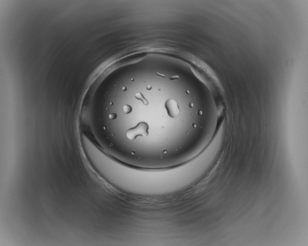 X0000114671338200910211143
