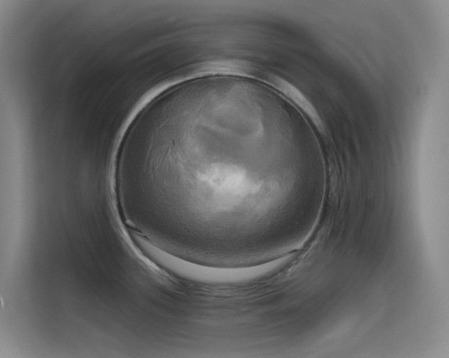 X0000114671339200910211143