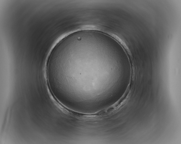 X0000114671342200910211143