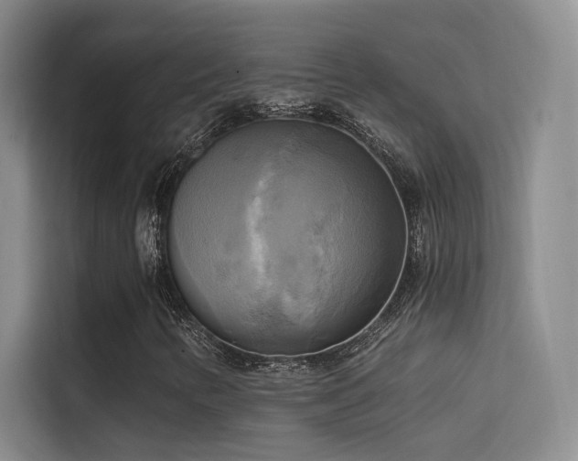 X0000114671346200910211142