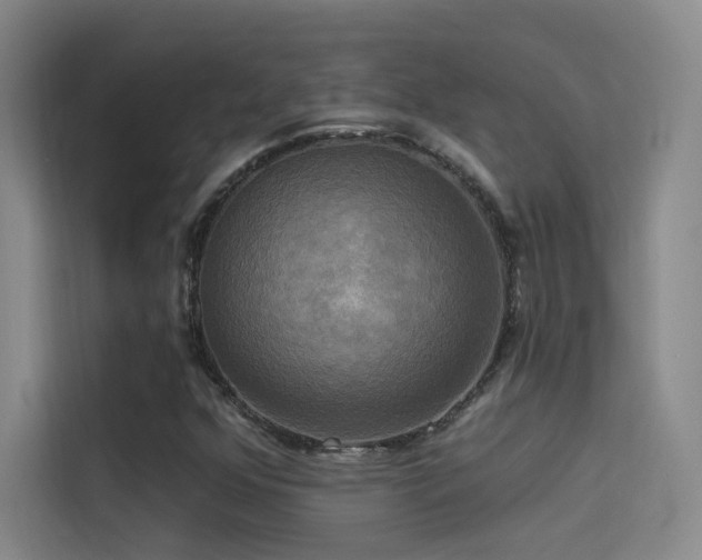 X0000114671352200910211142