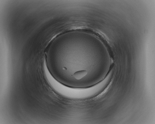 X0000114671353200910211142