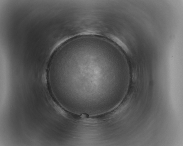 X0000114671356200910211142